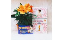 TẮM TRẮNG KHÔ, Ủ BODY SIÊU TRẮNG 