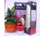 GEL TẨY TẾ BÀO CHẾT BEAUSKIN
